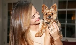 Собака Миранды Керр стала «мордой» рекламной кампании